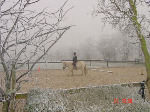 Picture 1