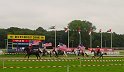 DSC02485