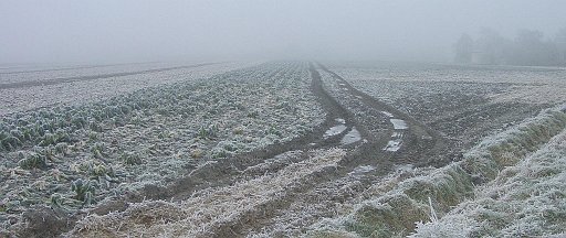 2738.jpg