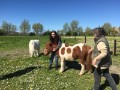 DSCN1040
